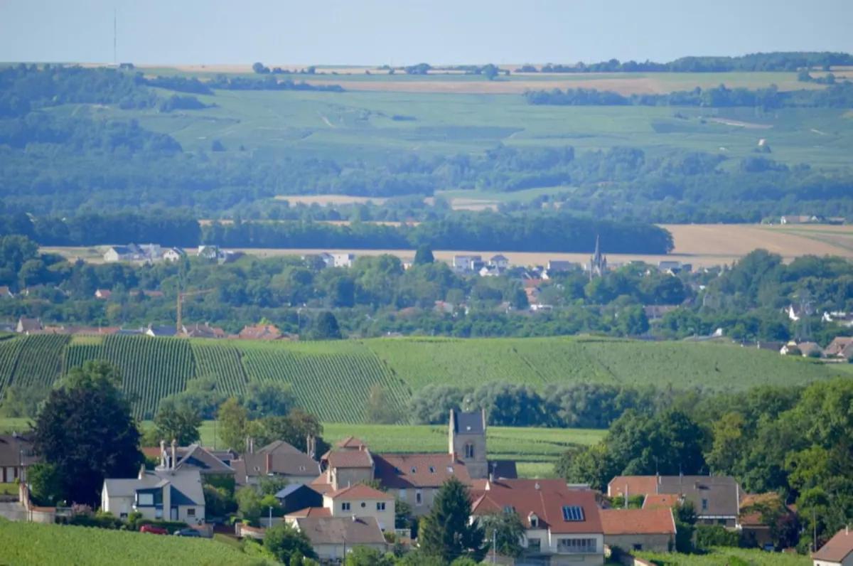 Agreable Maison Petit Jardin A 7 Minutes De Reims Pargny-les-Reims Ngoại thất bức ảnh